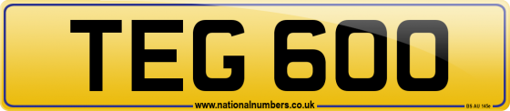 TEG 600