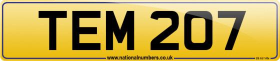 TEM 207