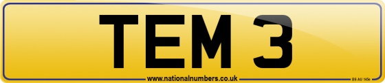 TEM 3