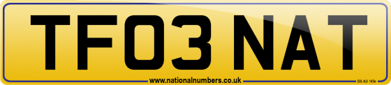 TF03 NAT