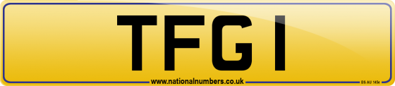 TFG 1