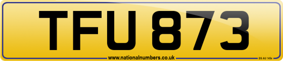 TFU 873