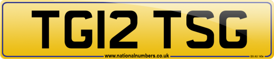 TG12 TSG