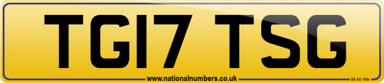 TG17 TSG