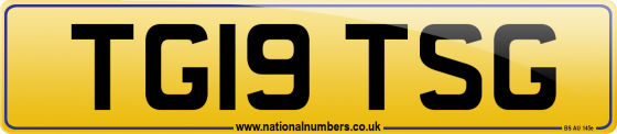 TG19 TSG