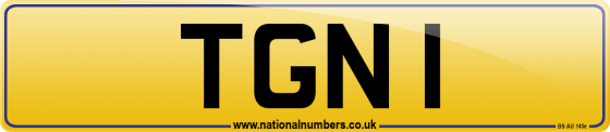 TGN 1