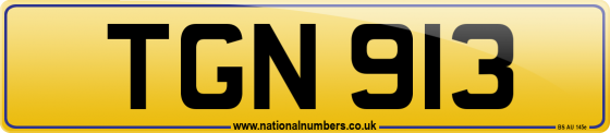 TGN 913