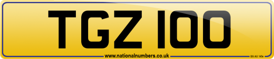 TGZ 100