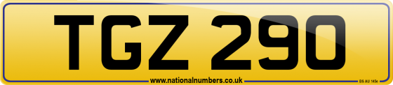 TGZ 290