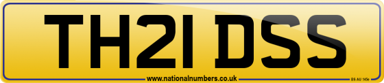 TH21 DSS