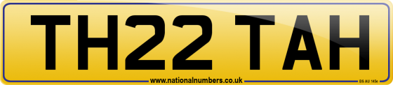 TH22 TAH