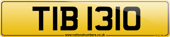 TIB 1310