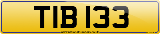 TIB 133