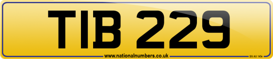 TIB 229