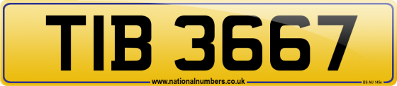 TIB 3667