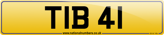 TIB 41
