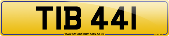 TIB 441