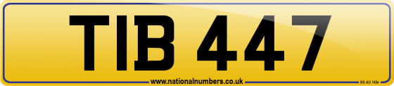 TIB 447