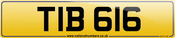 TIB 616