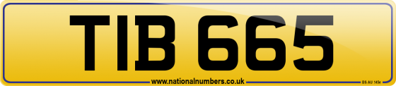 TIB 665