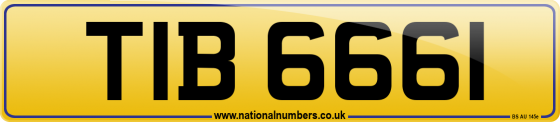 TIB 6661