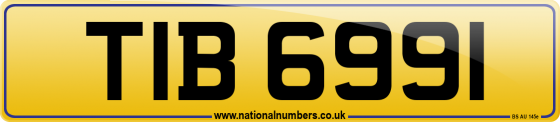 TIB 6991