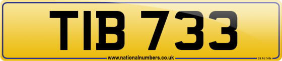 TIB 733