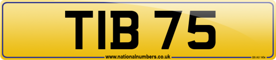 TIB 75