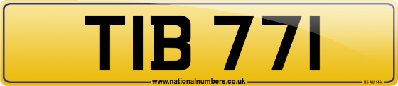 TIB 771