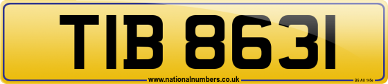 TIB 8631