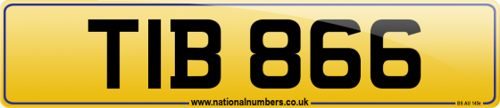 TIB 866