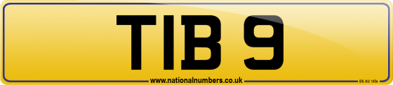 TIB 9