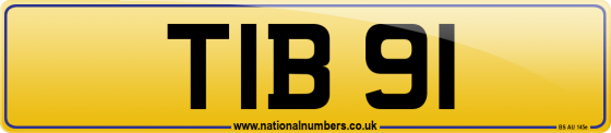TIB 91