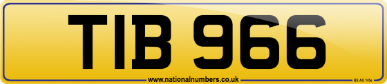TIB 966