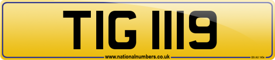 TIG 1119