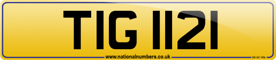 TIG 1121