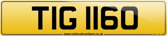 TIG 1160