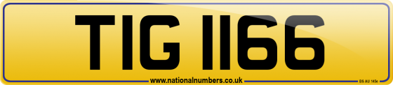 TIG 1166