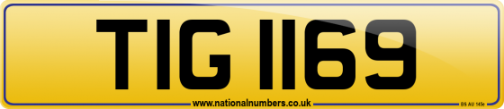 TIG 1169