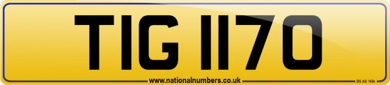 TIG 1170