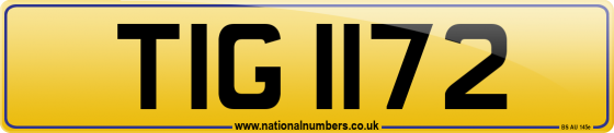 TIG 1172