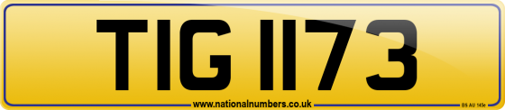 TIG 1173