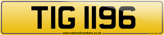 TIG 1196