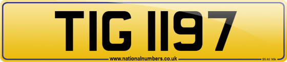 TIG 1197