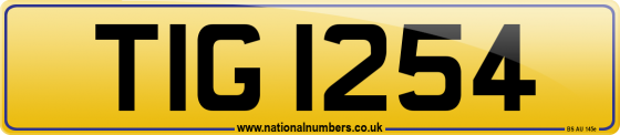 TIG 1254