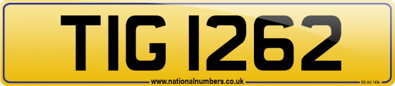 TIG 1262