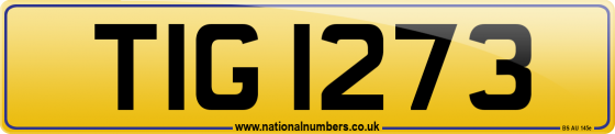 TIG 1273
