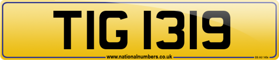 TIG 1319