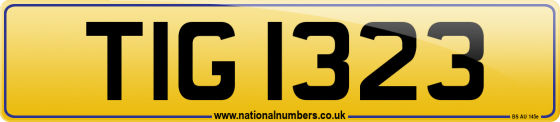 TIG 1323