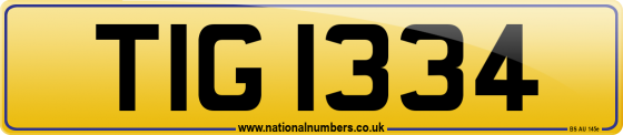 TIG 1334